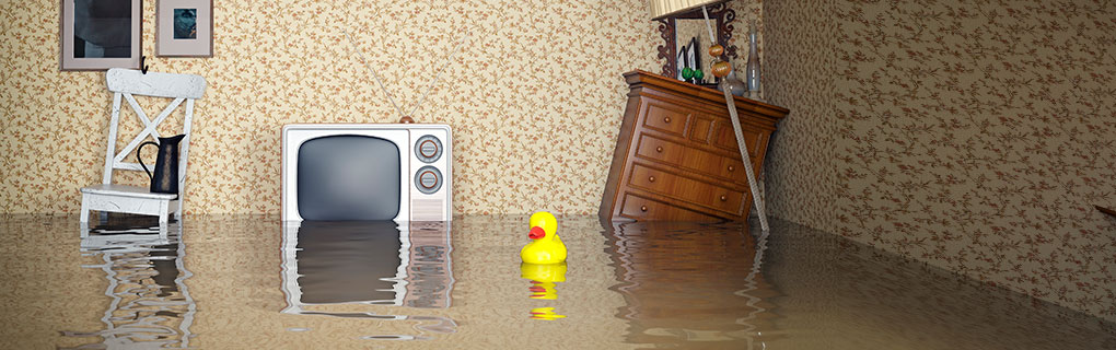 Inszone Insurance Flood Insurance Page Banner - Flooded House with Furniture